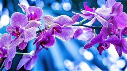 Phalaenopsis Моделирование Цветок Искусственная цветочная орхидея для украшения в помещении