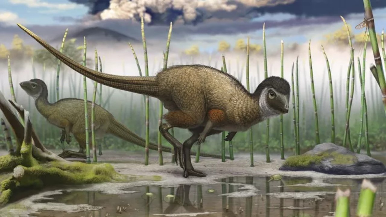 С Днем Рождения! (динозаврики) 30 см