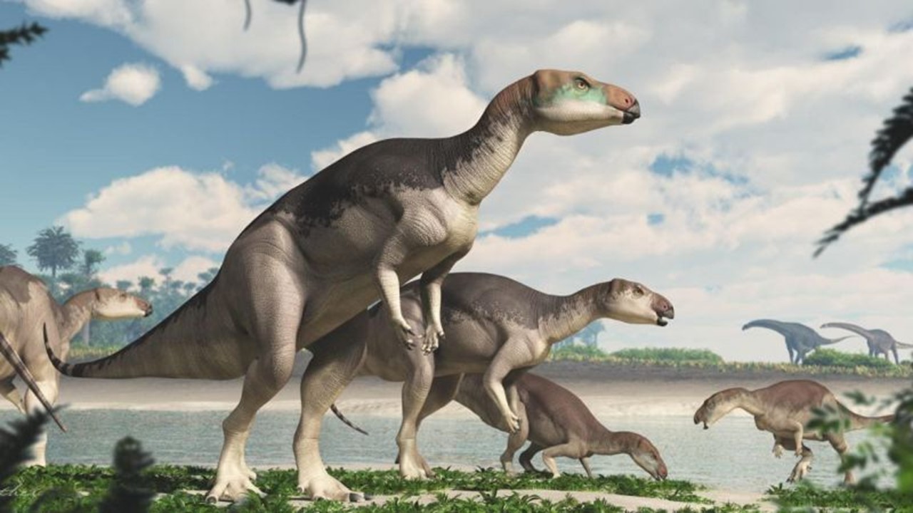 Терранова динозавры