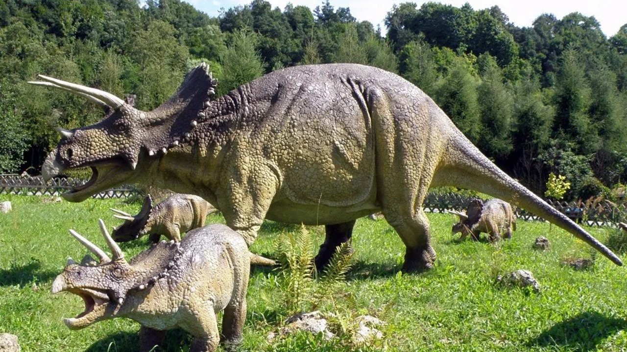 Динозавры Северной Америки Трицератопс