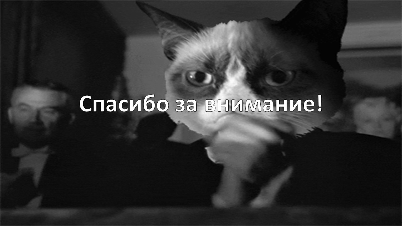 Шаблон для презентации мемы кот • Фоник | fonik.ru